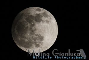Eclissi di Luna 2013 elaborazione da RAW