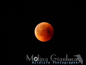Eclissi Totale di Luna 28 Luglio 2018 elab rid